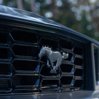 Ford mustang dark horse in hyundai ioniq 5 N - doživetje 2025